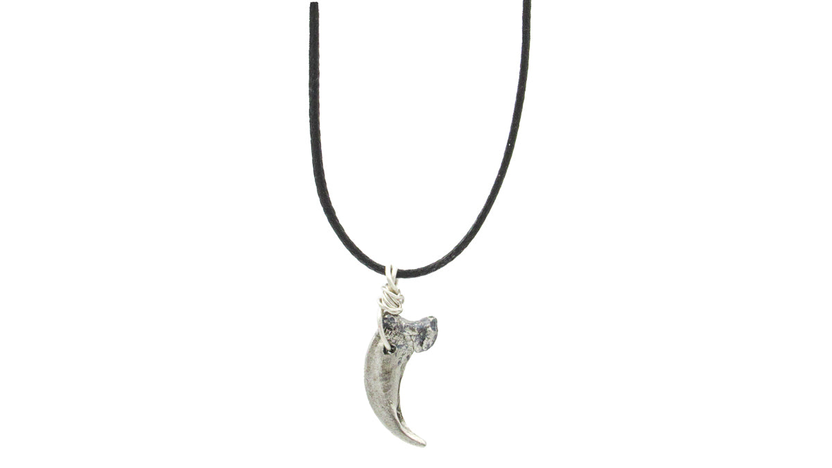 Wolf Fang Necklace •  Necklaces • Oh, Heart!